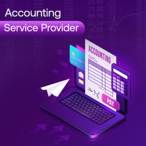 Accounting Service Provider