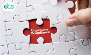 Regulatory Compliance In UAE