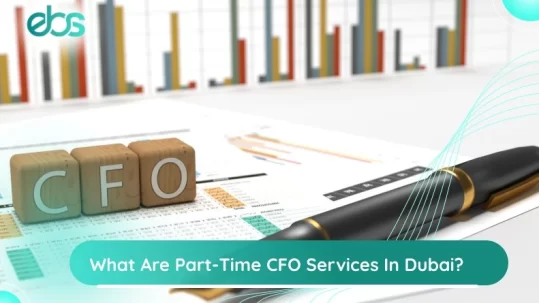 CFO Services In Dubai