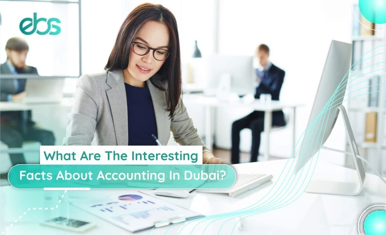 Interesting Facts About Accounting In Dubai