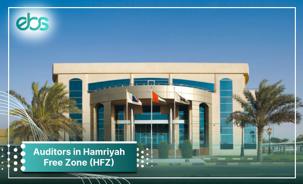 Auditors In Hamriyah Free Zone