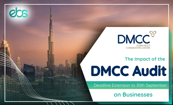 dmcc audit on business