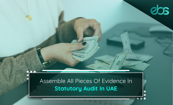 statutory audit in UAE