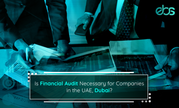 Financial audit