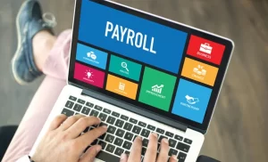 zoho payroll management, zoho payroll support, bayzat payroll, bayzat payroll uae