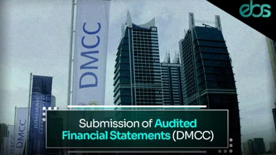 Audited financial statements