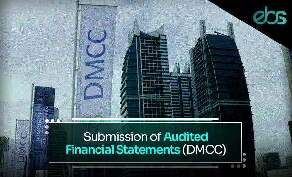 Audited financial statements