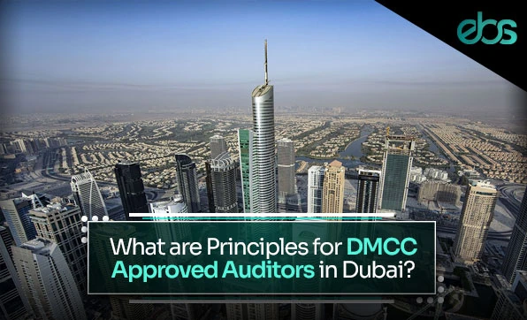 DMCC Registered Auditors