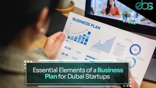 business plan dubai