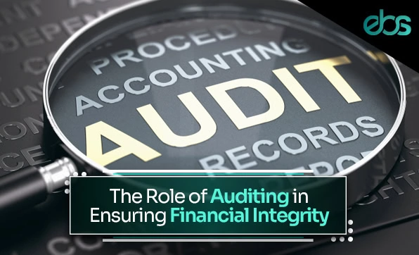 Auditors in dubai