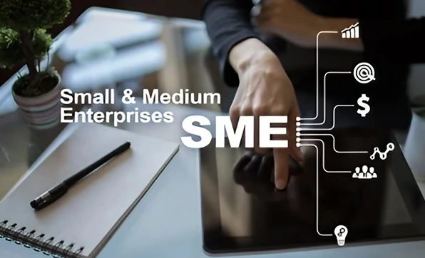 small and medium-sized enterprises, corporate tax law,