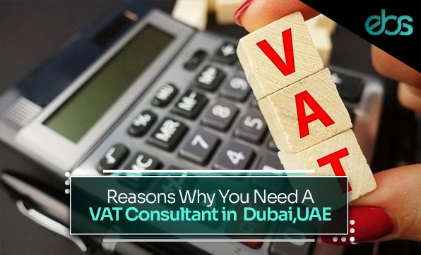 Value Added Tax Consultant in Dubai