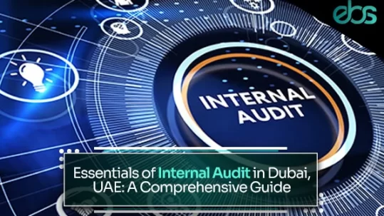 internal audit firms dubai