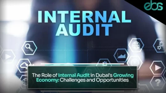 internal audit firms in dubai