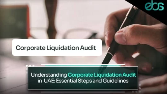 Liquidation audit in uae