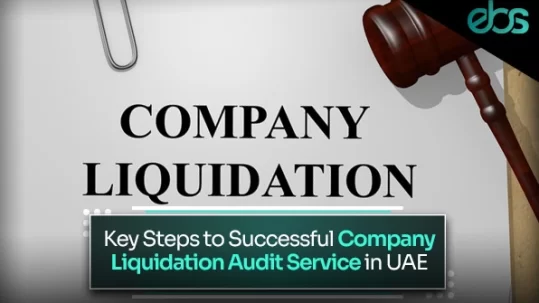 Liquidation audit service