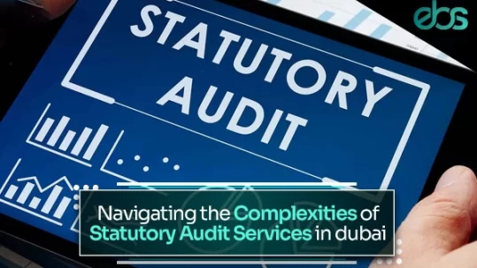 statutory audit services