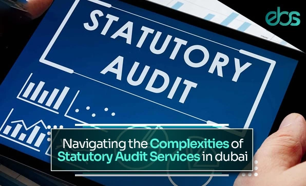 statutory audit services