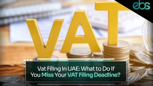 VAT filing in UAE