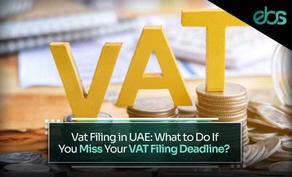 VAT filing in UAE