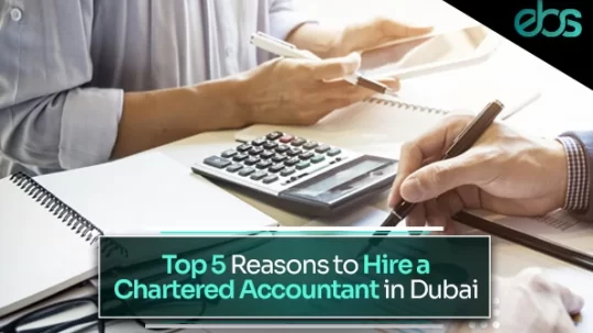 chartered accountant dubai