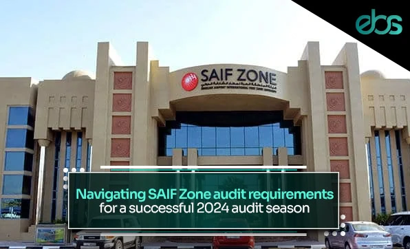 Saif Zone Approved Auditors