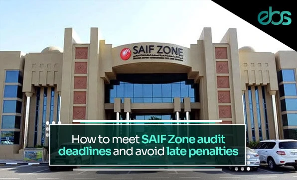 Saif Zone Approved Auditors