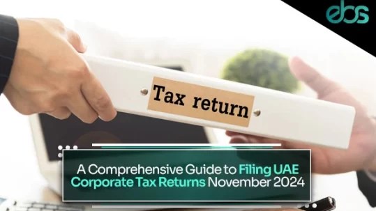 UAE corporate tax returns 2024