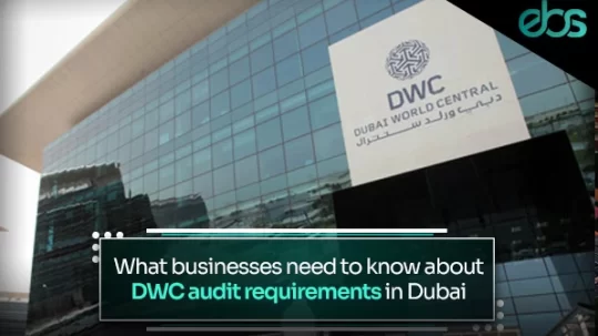 DWC approved auditors