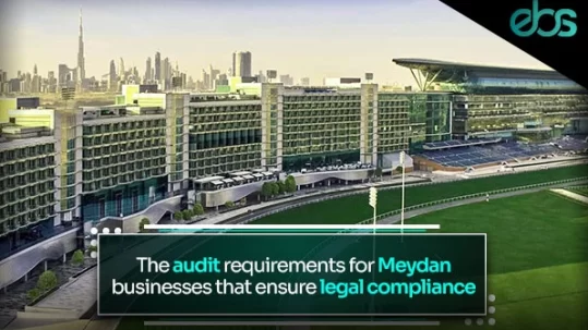 Meydan approved auditors