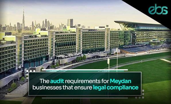 Meydan approved auditors