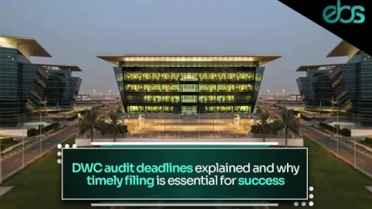 DWC approved auditors