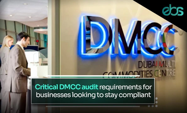 DMCC Registered Auditors