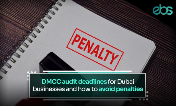 DMCC Registered Auditors