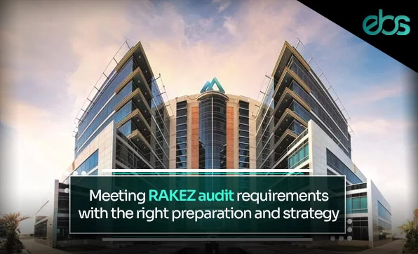 RAKEZ Approved Auditors