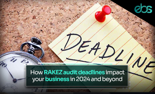 RAKEZ Approved Auditors