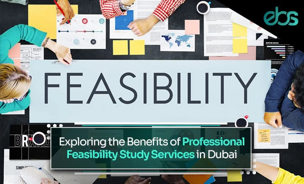 feasibility study services