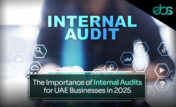 Internal Audit UAE